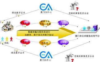 信息集團(tuán)發(fā)揮信息化優(yōu)勢(shì) 打造惠民互聯(lián)網(wǎng)信息服務(wù)產(chǎn)品